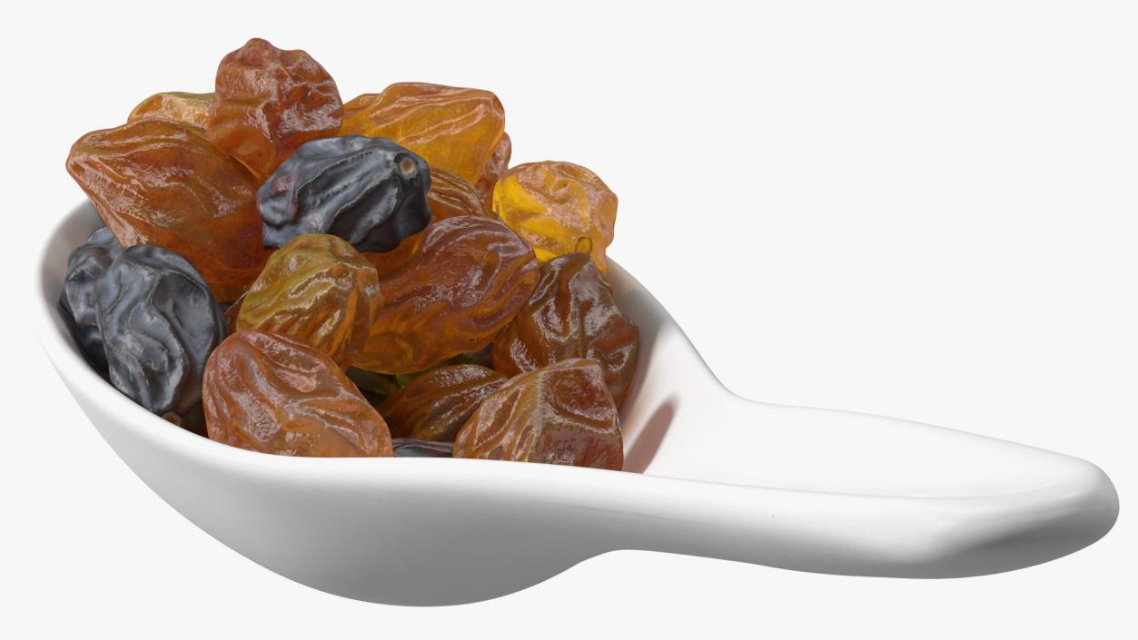 Spoon with Mixed Raisins 3D model