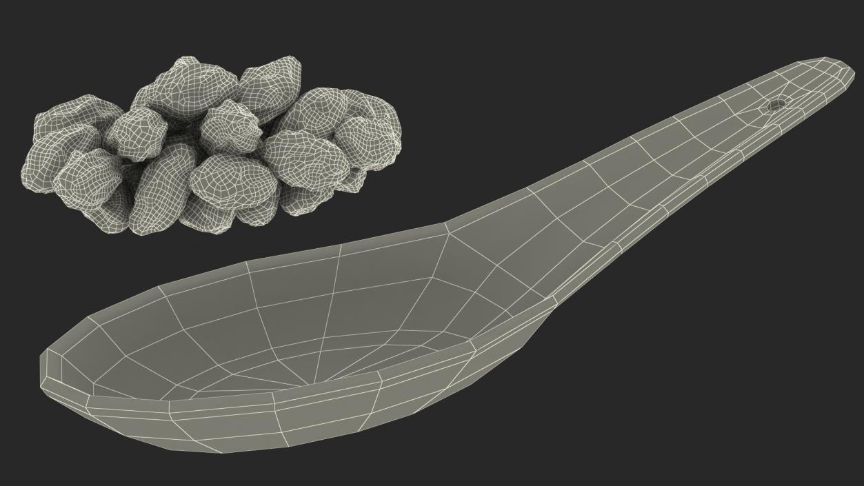 Spoon with Mixed Raisins 3D model