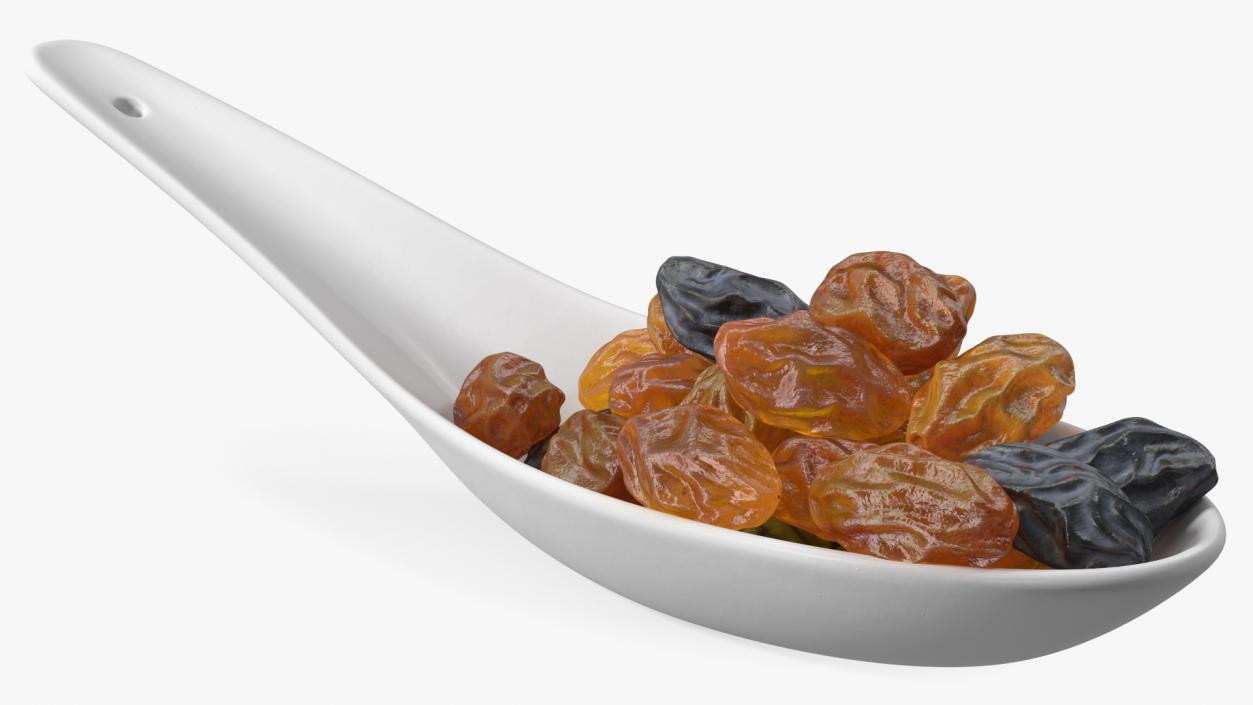 Spoon with Mixed Raisins 3D model