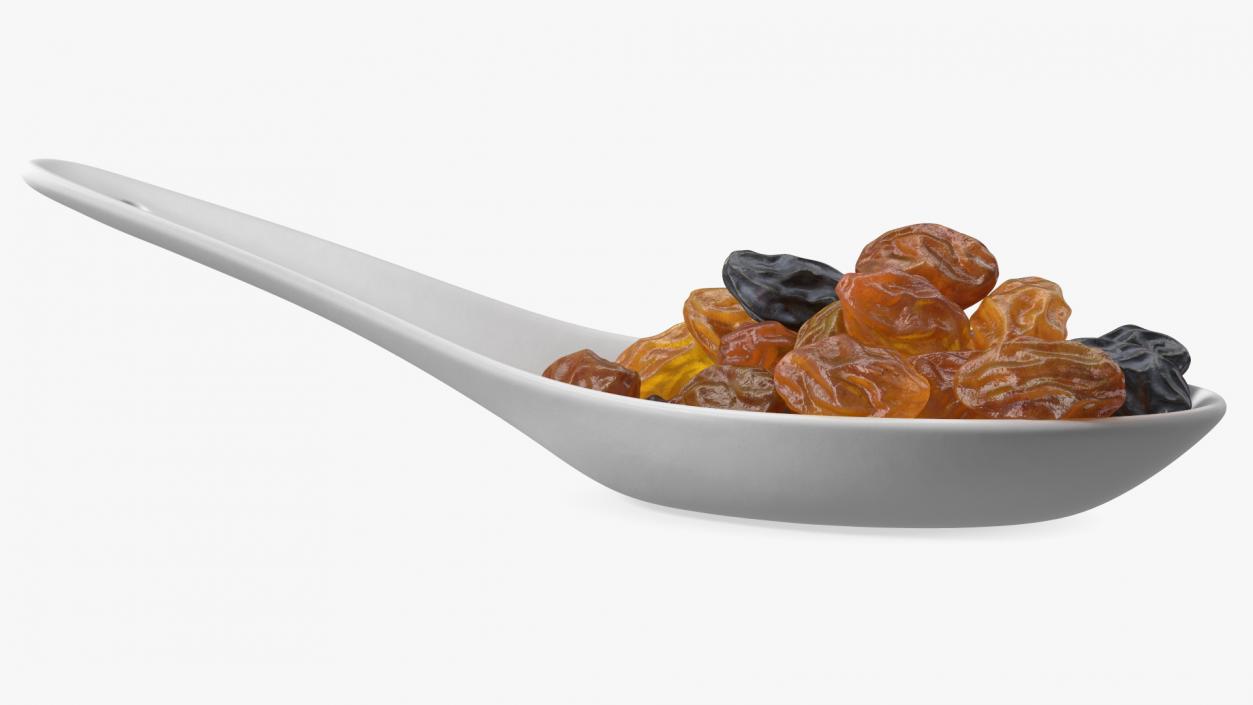 Spoon with Mixed Raisins 3D model