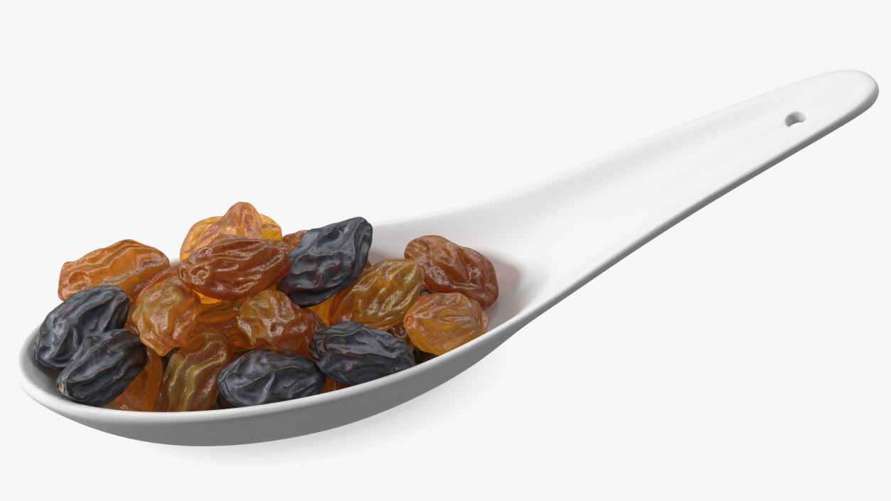 Spoon with Mixed Raisins 3D model