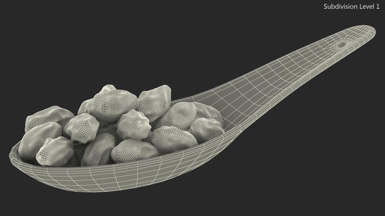 Spoon with Mixed Raisins 3D model