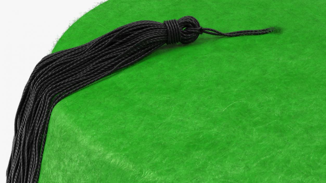 Traditional Arabic Green Fez Hat With Black Tassel Fur 3D model