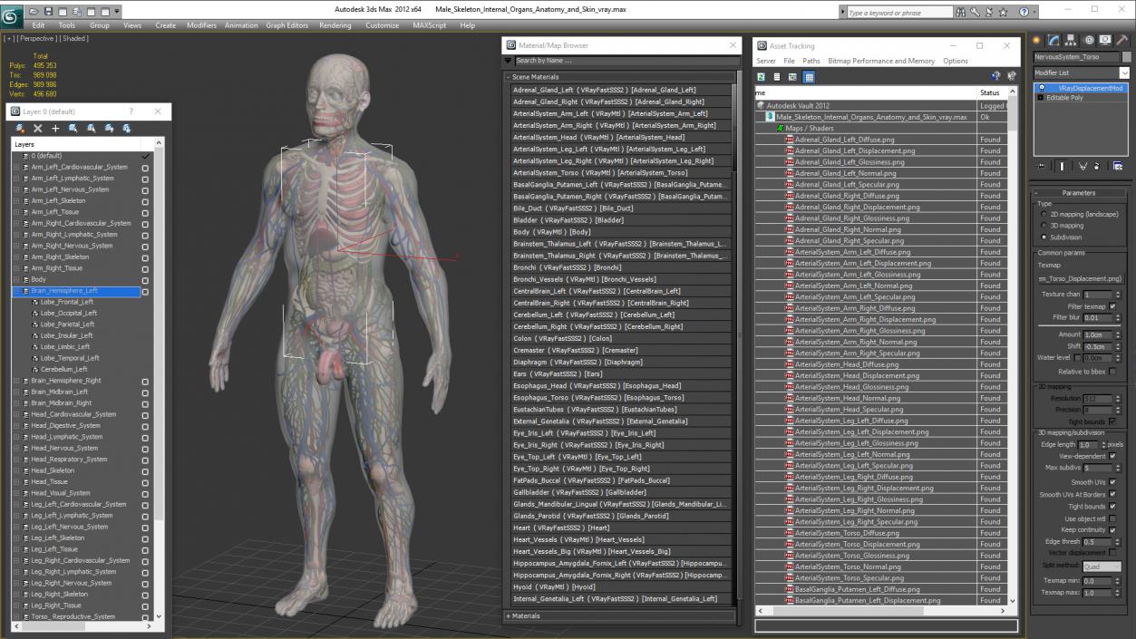 3D Male Skeleton Internal Organs Anatomy and Skin