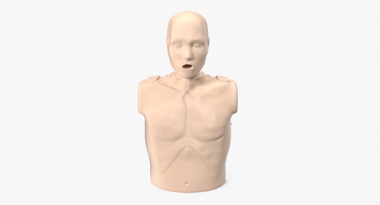 Half Body First Aid Training Dummy 3D model