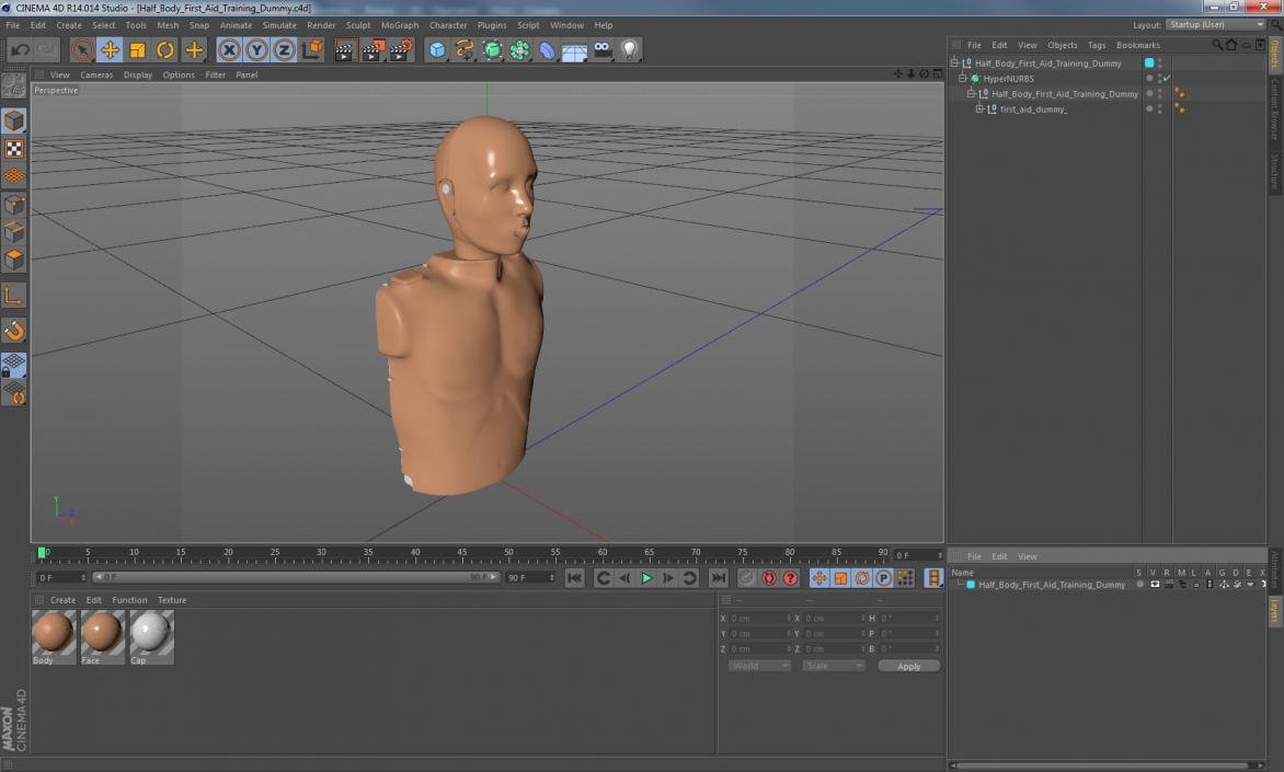 Half Body First Aid Training Dummy 3D model