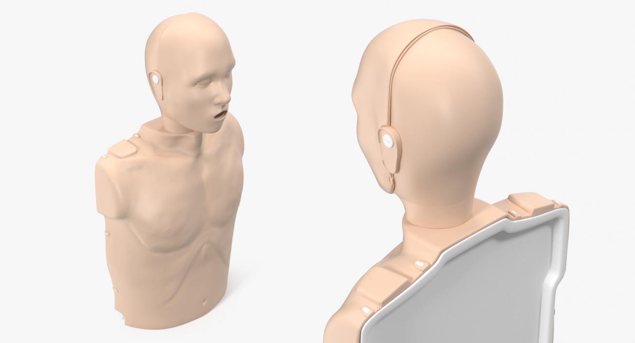 Half Body First Aid Training Dummy 3D model