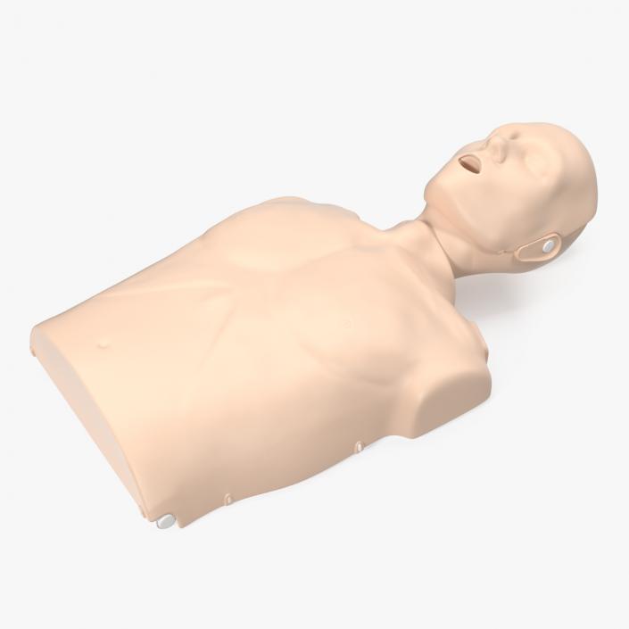 Half Body First Aid Training Dummy 3D model