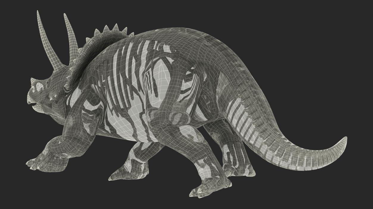 Triceratops Skeleton Fossil with Transparent Skin 3D model