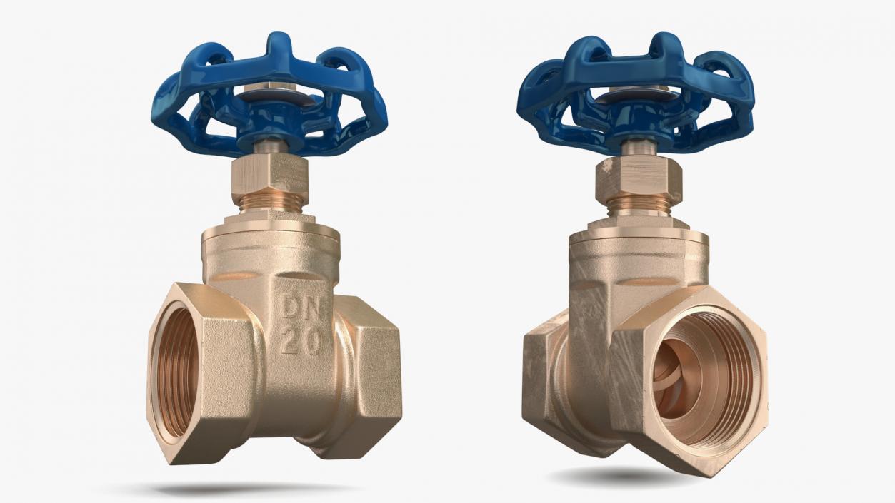 Gate Valve Pyrite 3D