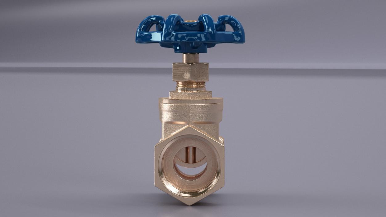 Gate Valve Pyrite 3D