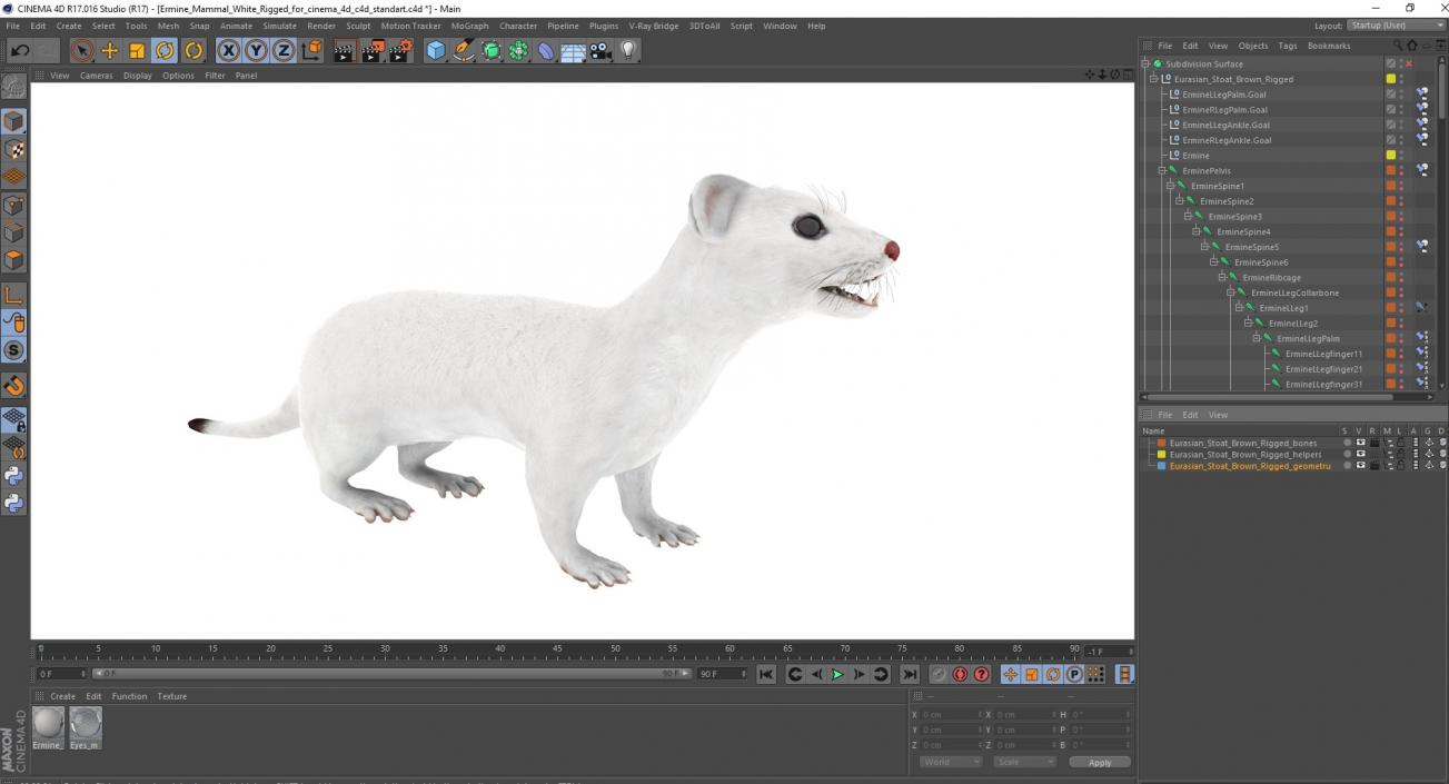 Ermine Mammal White Rigged for Cinema 4D 2 3D