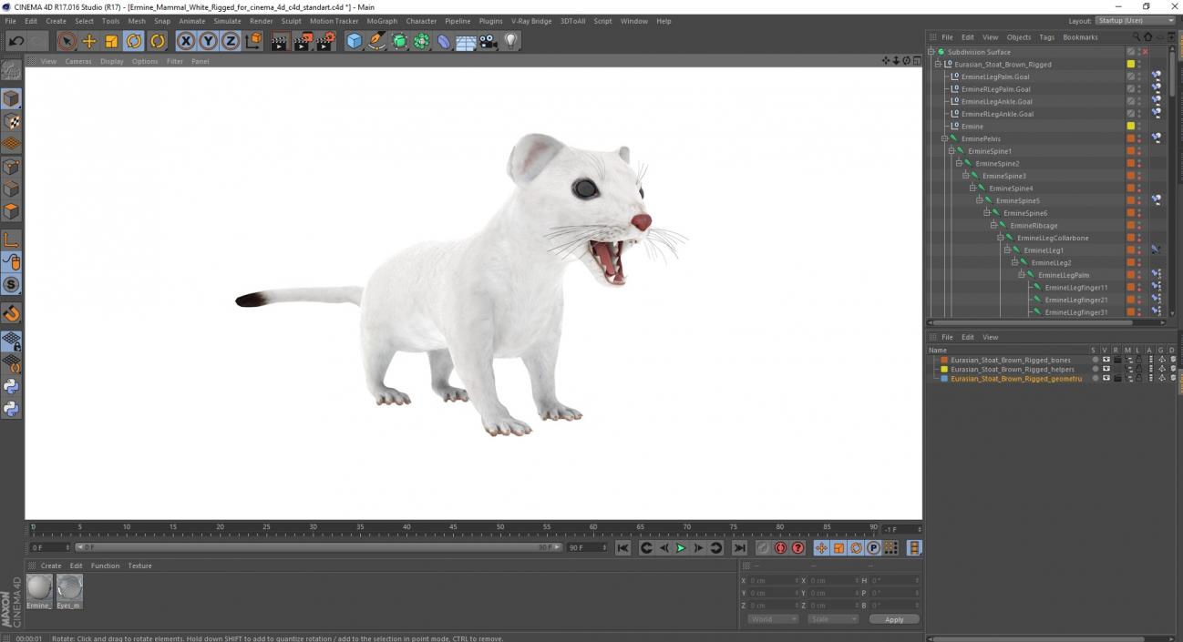 Ermine Mammal White Rigged for Cinema 4D 2 3D