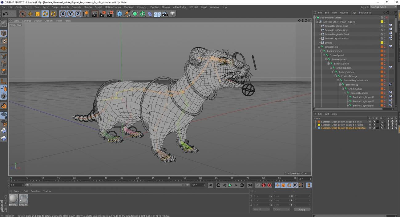Ermine Mammal White Rigged for Cinema 4D 2 3D