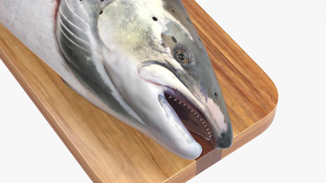 Fillet Board with Salmon 3D model