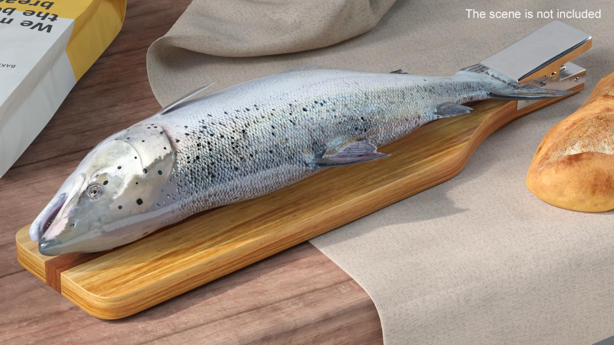 Fillet Board with Salmon 3D model