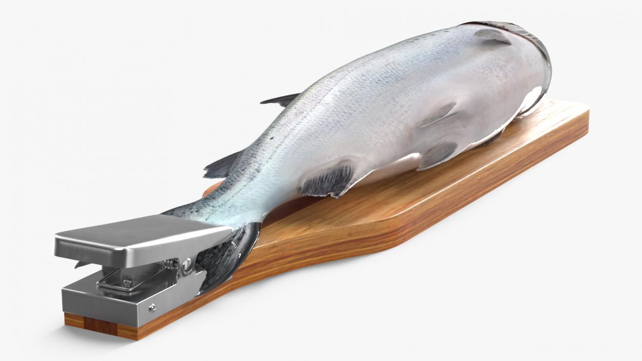 Fillet Board with Salmon 3D model