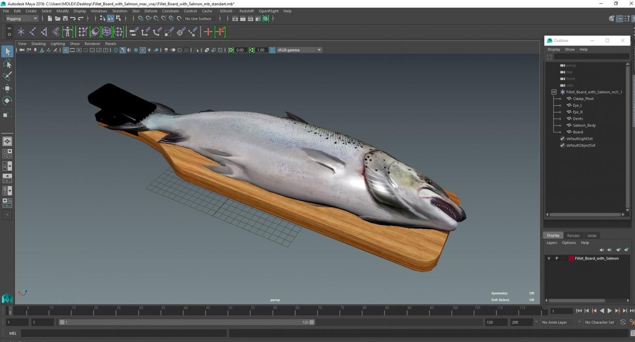 Fillet Board with Salmon 3D model