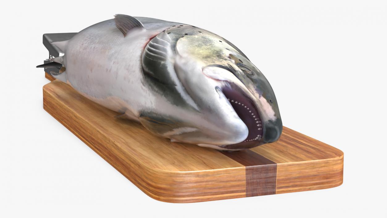 Fillet Board with Salmon 3D model