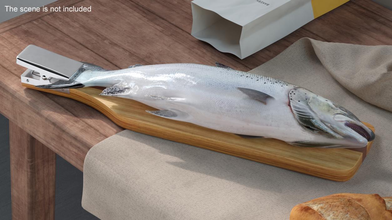 Fillet Board with Salmon 3D model