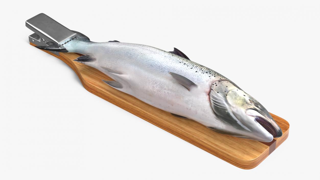 Fillet Board with Salmon 3D model