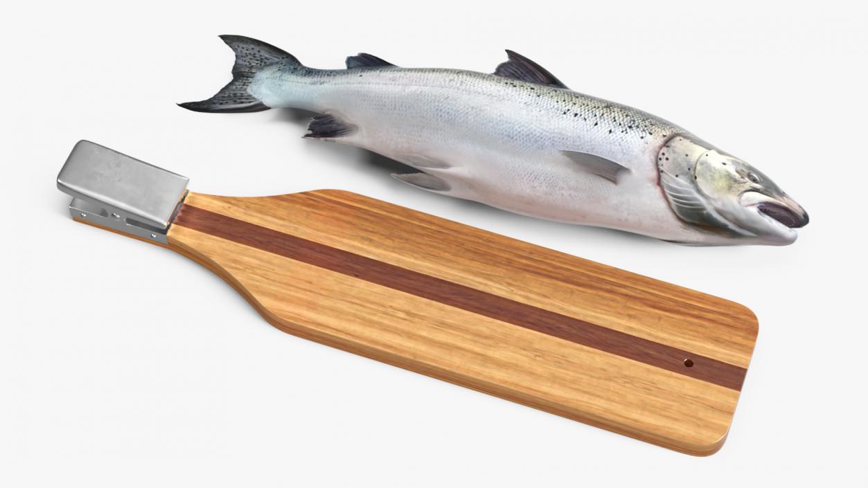 Fillet Board with Salmon 3D model