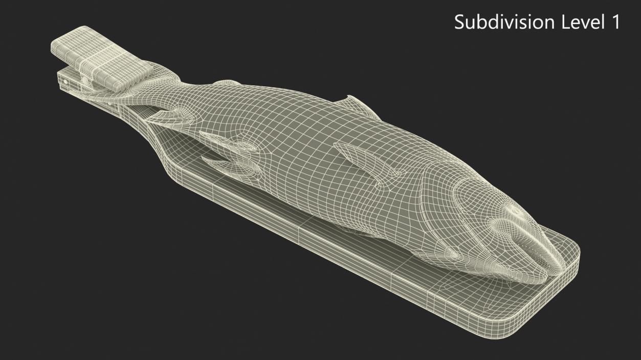 Fillet Board with Salmon 3D model