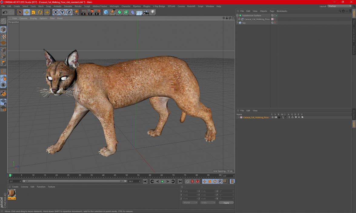 Caracal Cat Walking Pose 3D model