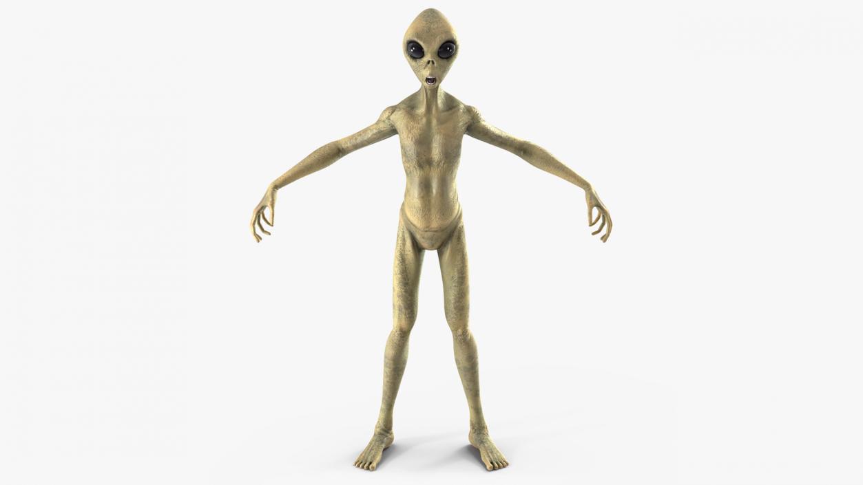 3D Humanoid Alien Creature model