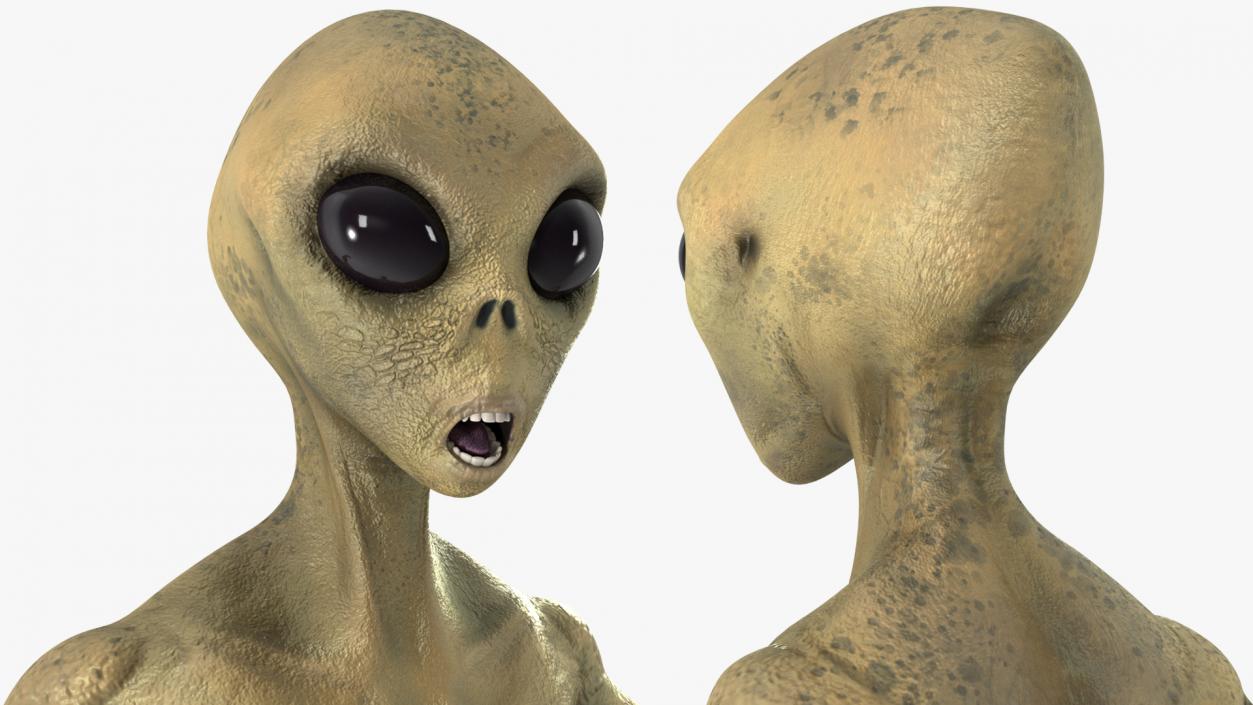 3D Humanoid Alien Creature model