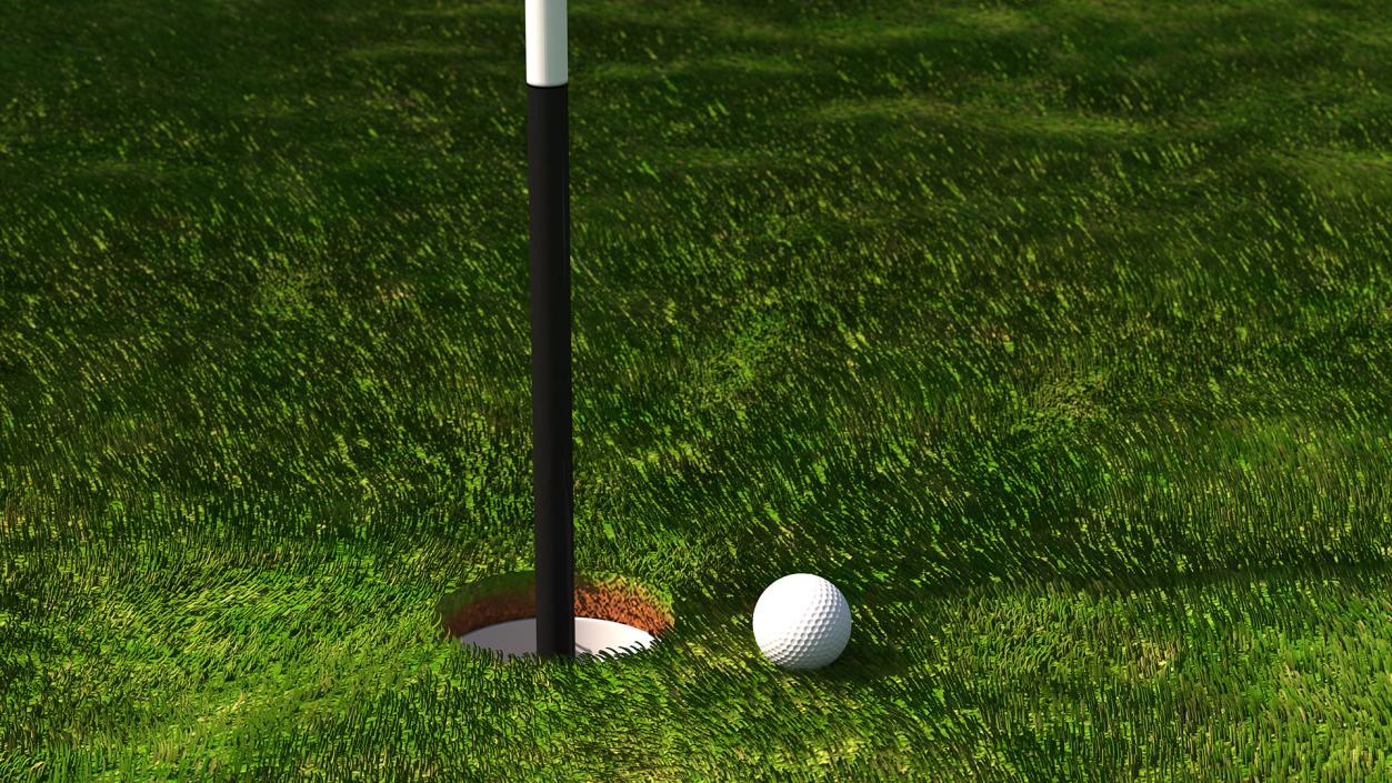 Golf Hole Sport Fur 3D model