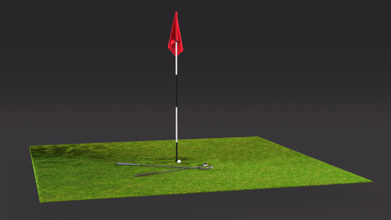 Golf Hole Sport Fur 3D model