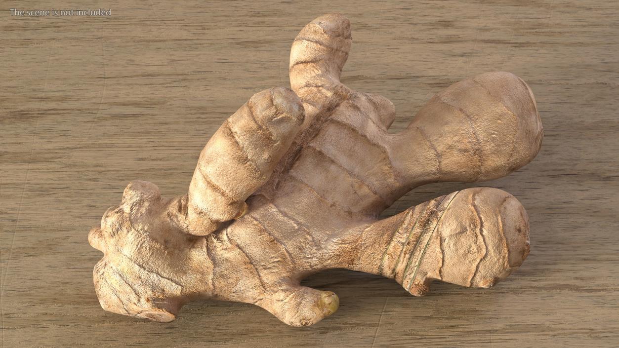 3D Ginger With Sliced Part model