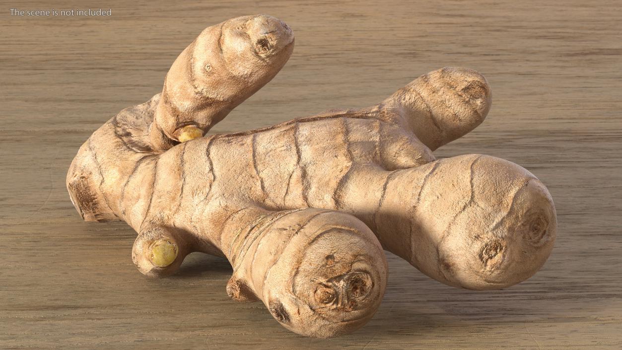 3D Ginger With Sliced Part model