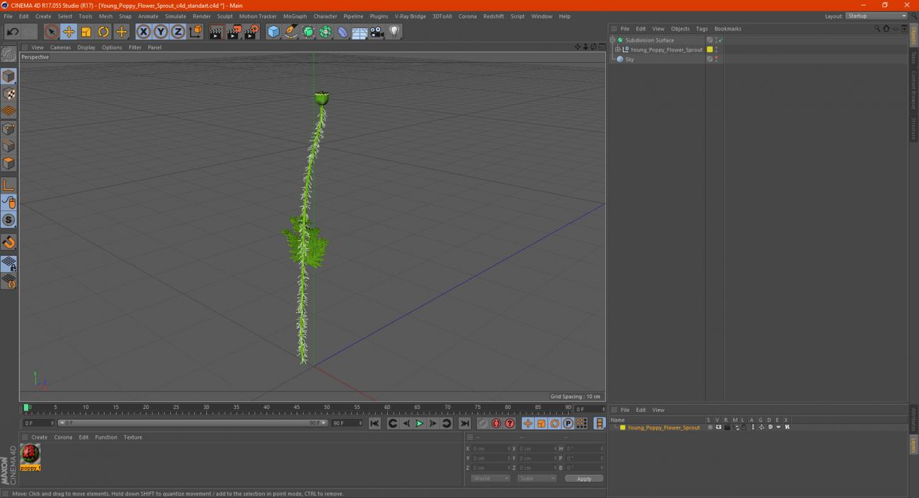 3D model Young Poppy Flower Sprout