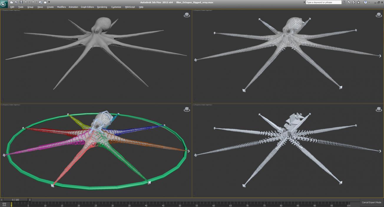 3D Octopus Vulgaris Rigged model