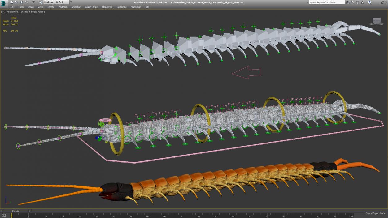 3D Scolopendra Heros Arizona Giant Centipede Rigged model