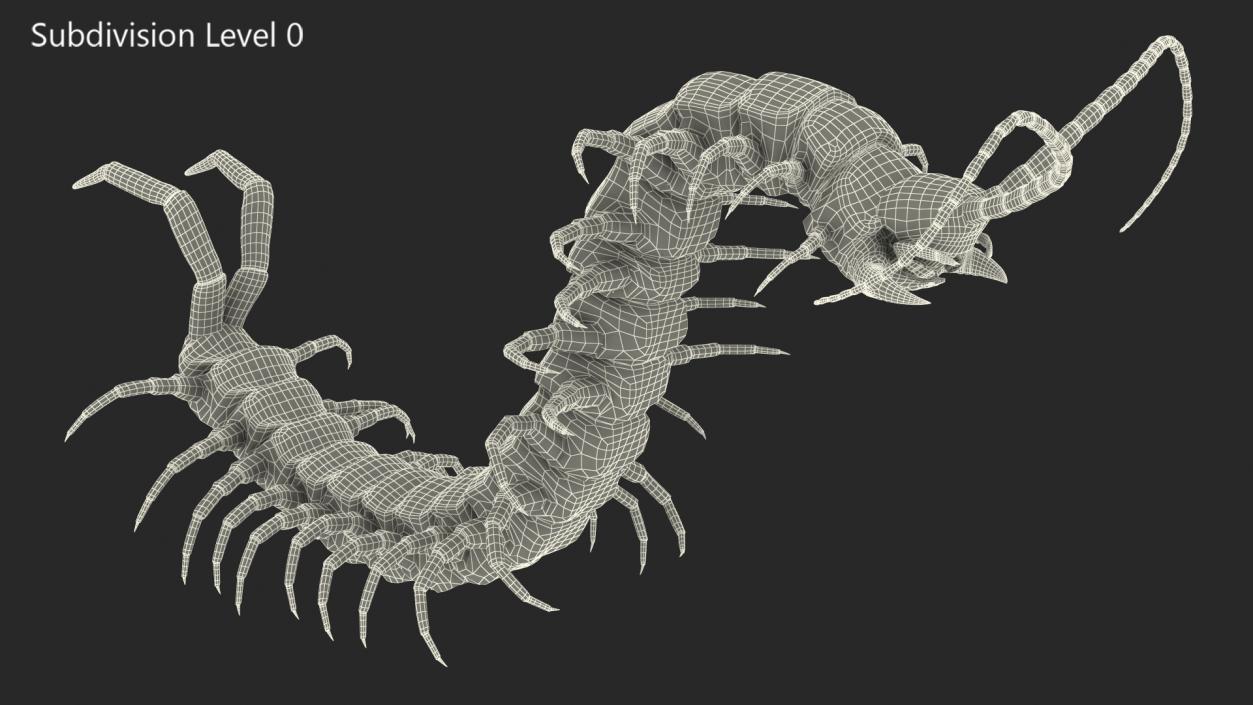 3D Scolopendra Heros Arizona Giant Centipede Rigged model