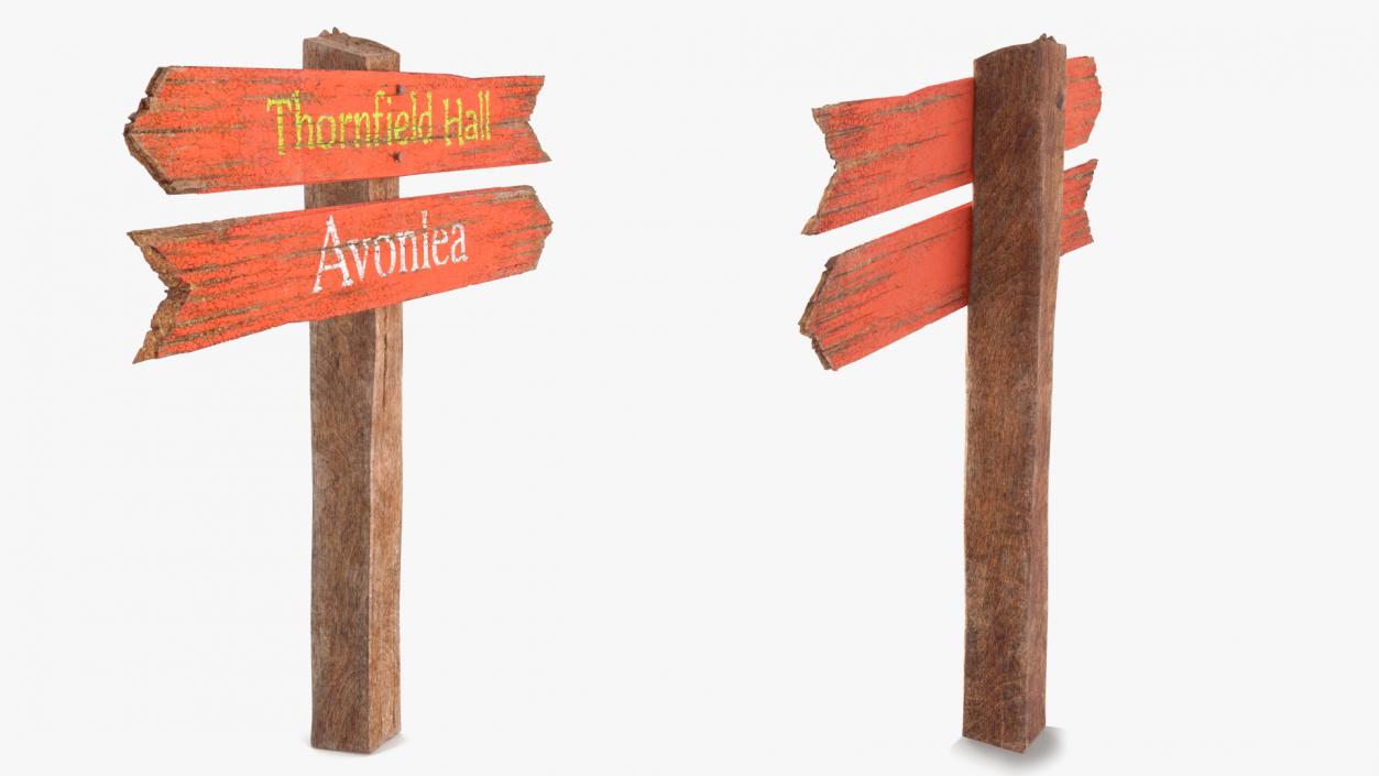 Aged Wooden Pointer Billboard 3D model