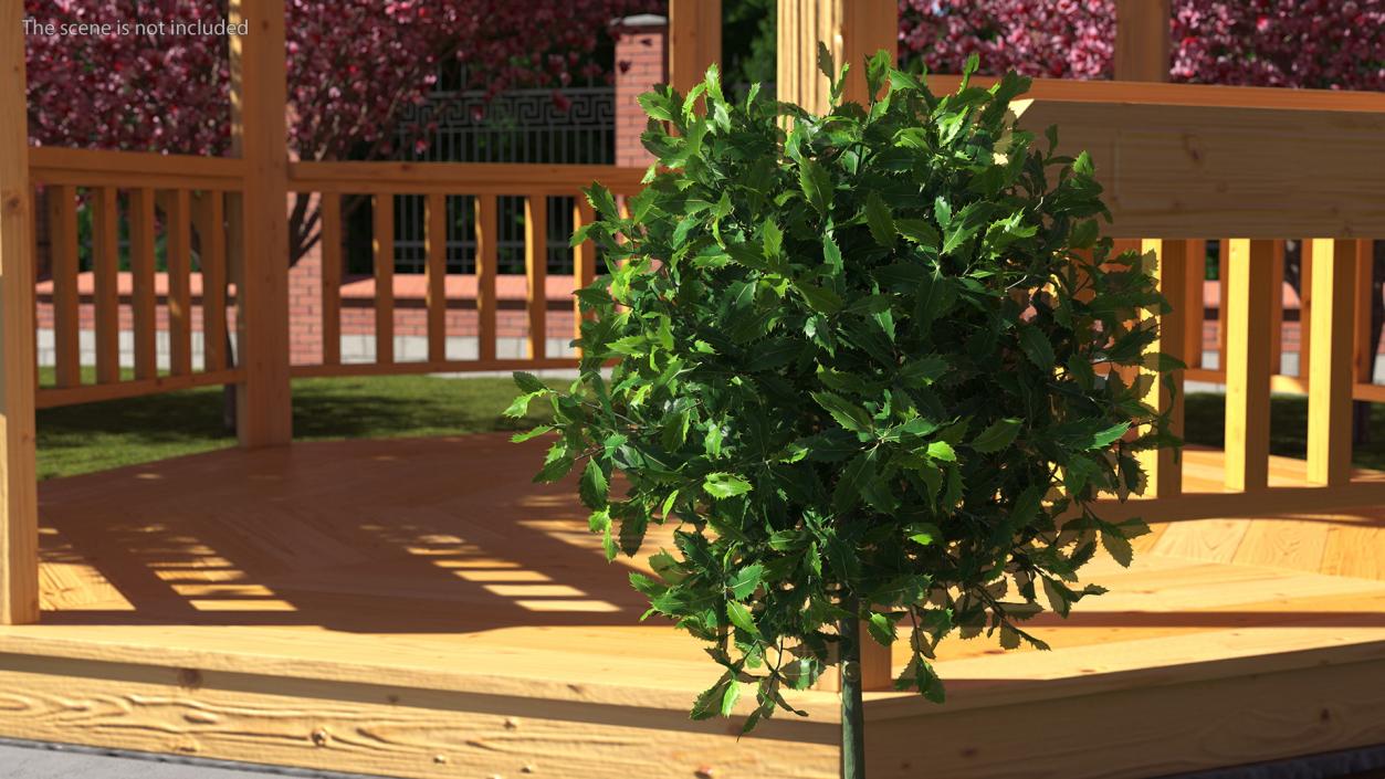 Holly Plant Green 3D