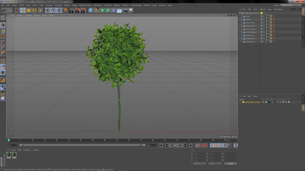 Holly Plant Green 3D