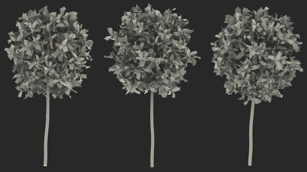 Holly Plant Green 3D