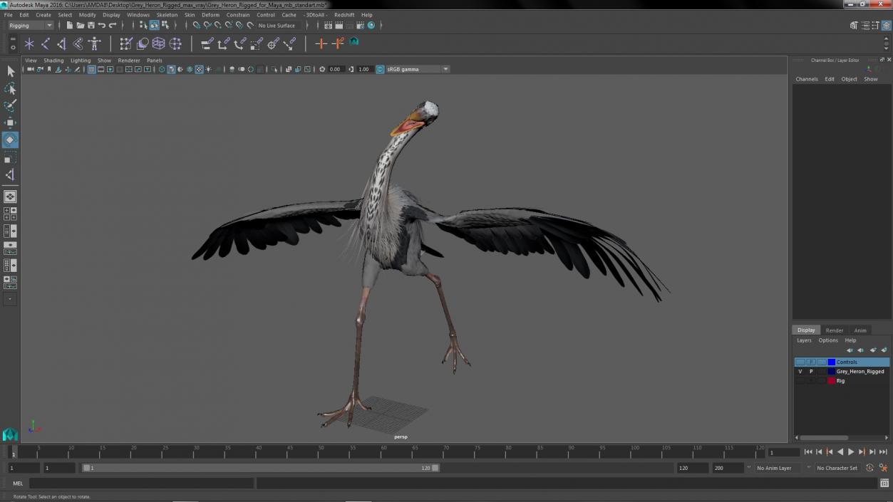 3D Grey Heron Rigged for Maya