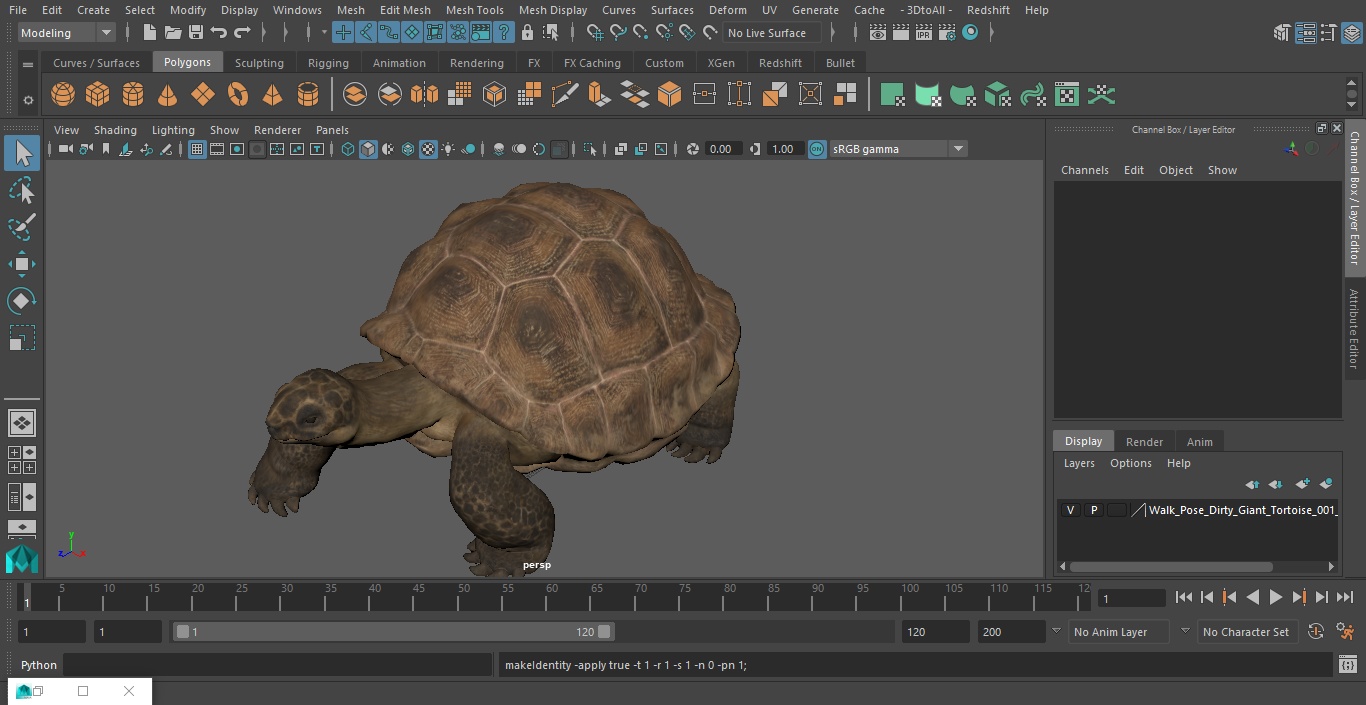 3D model Walk Pose Dirty Giant Tortoise