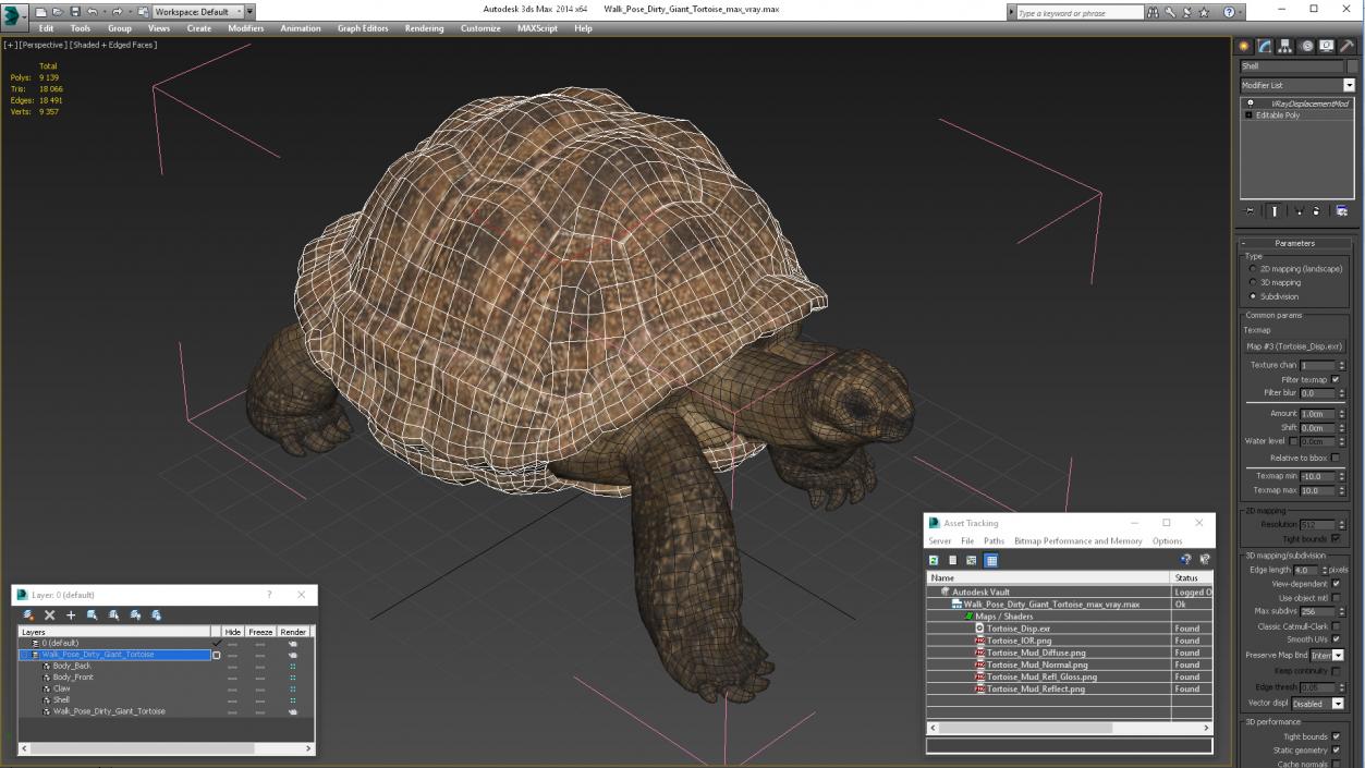 3D model Walk Pose Dirty Giant Tortoise