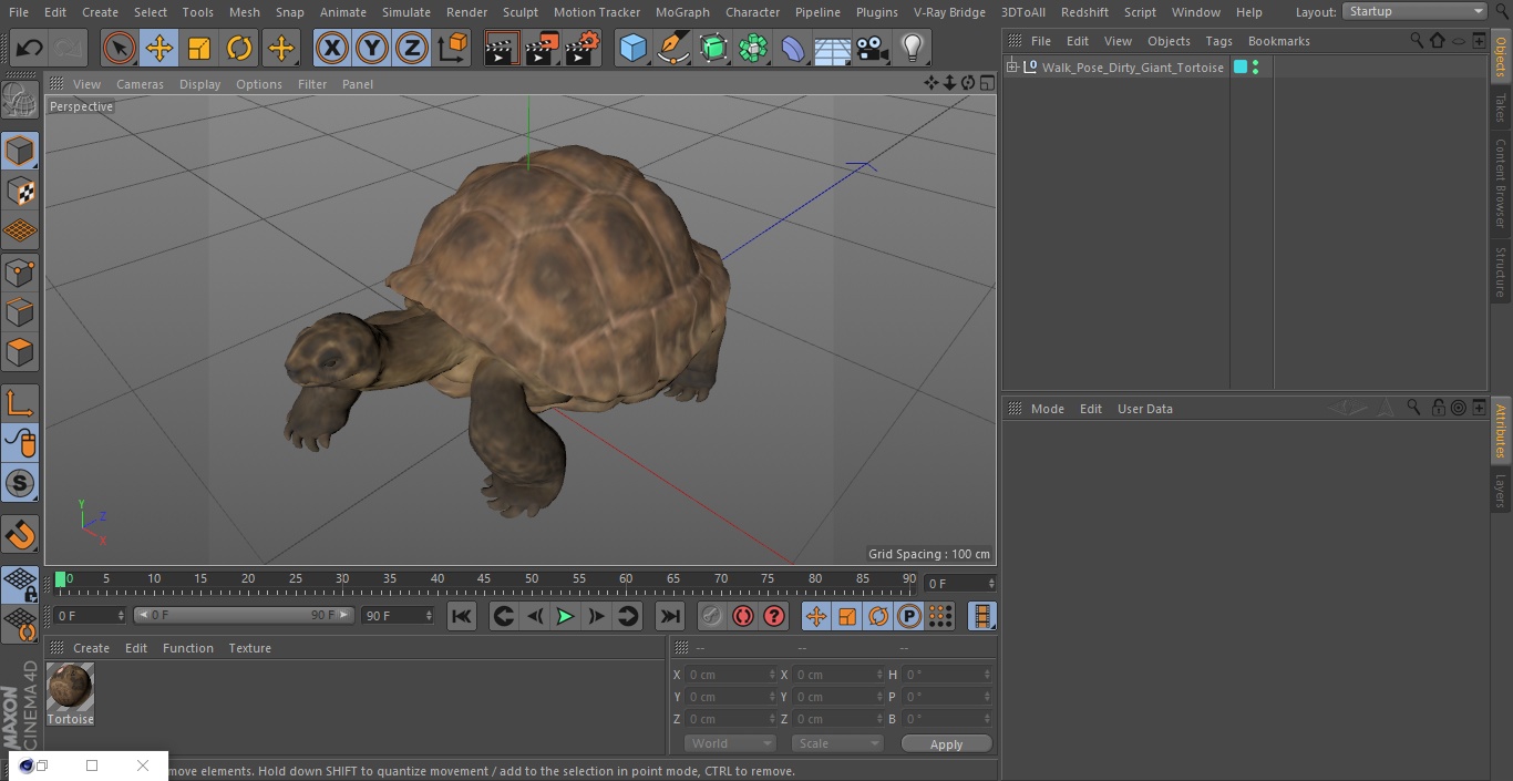 3D model Walk Pose Dirty Giant Tortoise