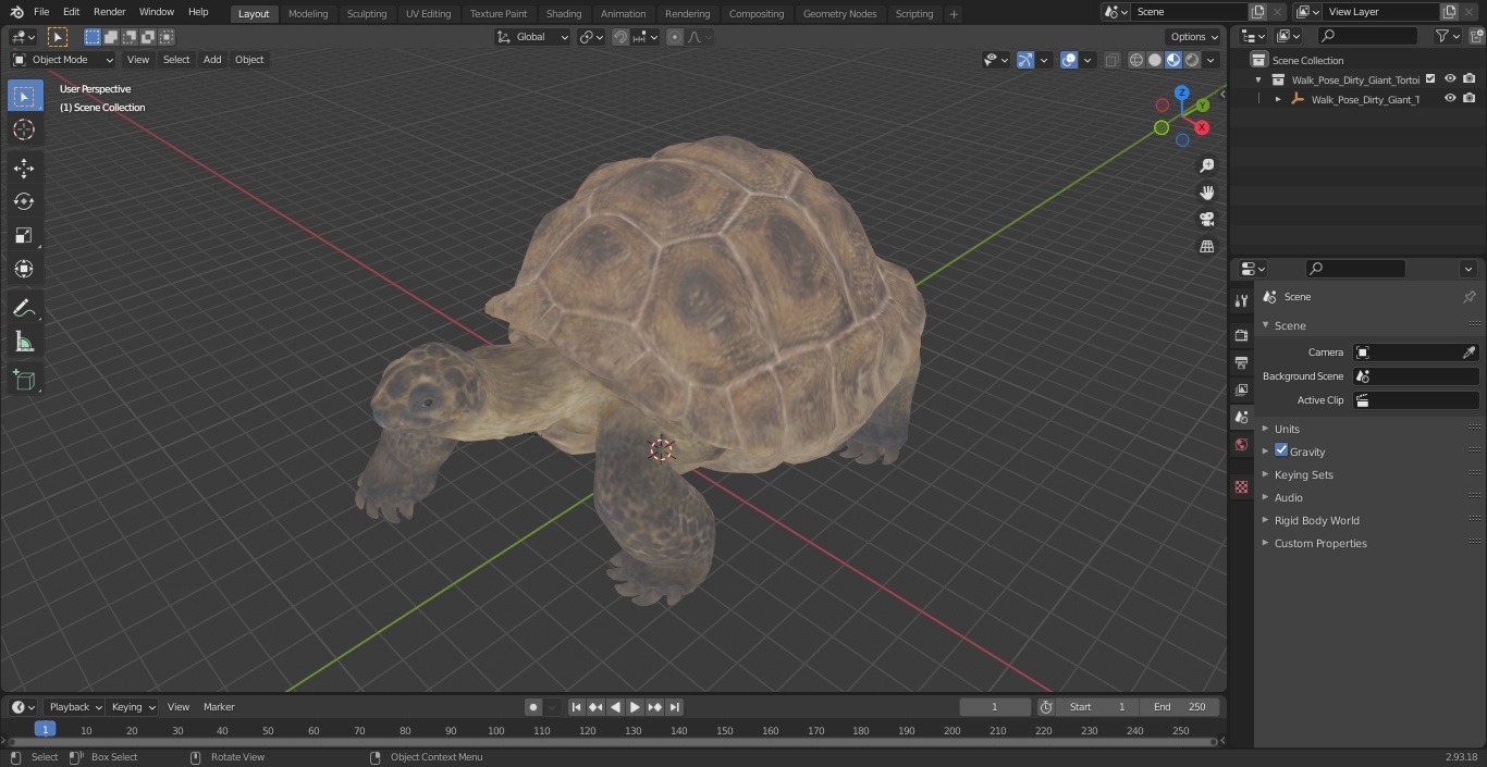 3D model Walk Pose Dirty Giant Tortoise