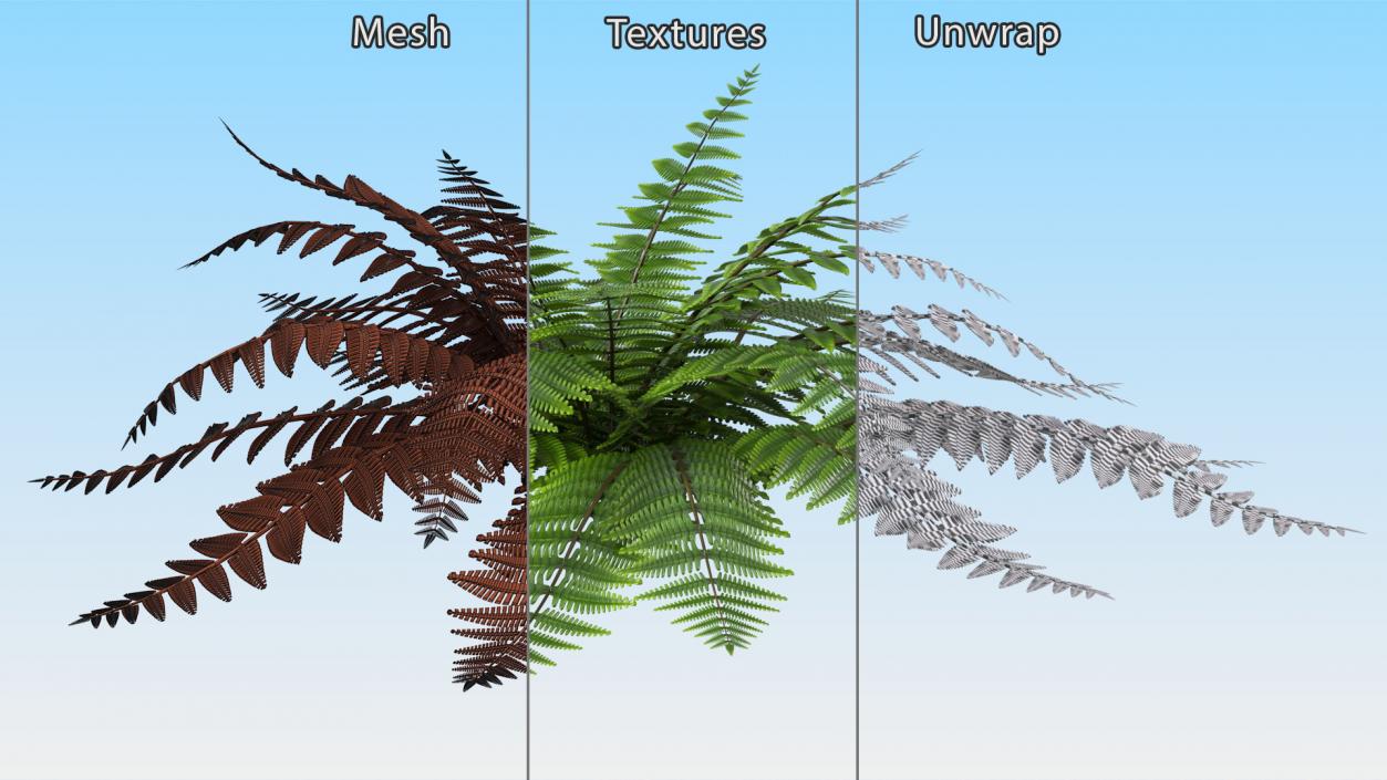 3D model Realistic Fern Plant