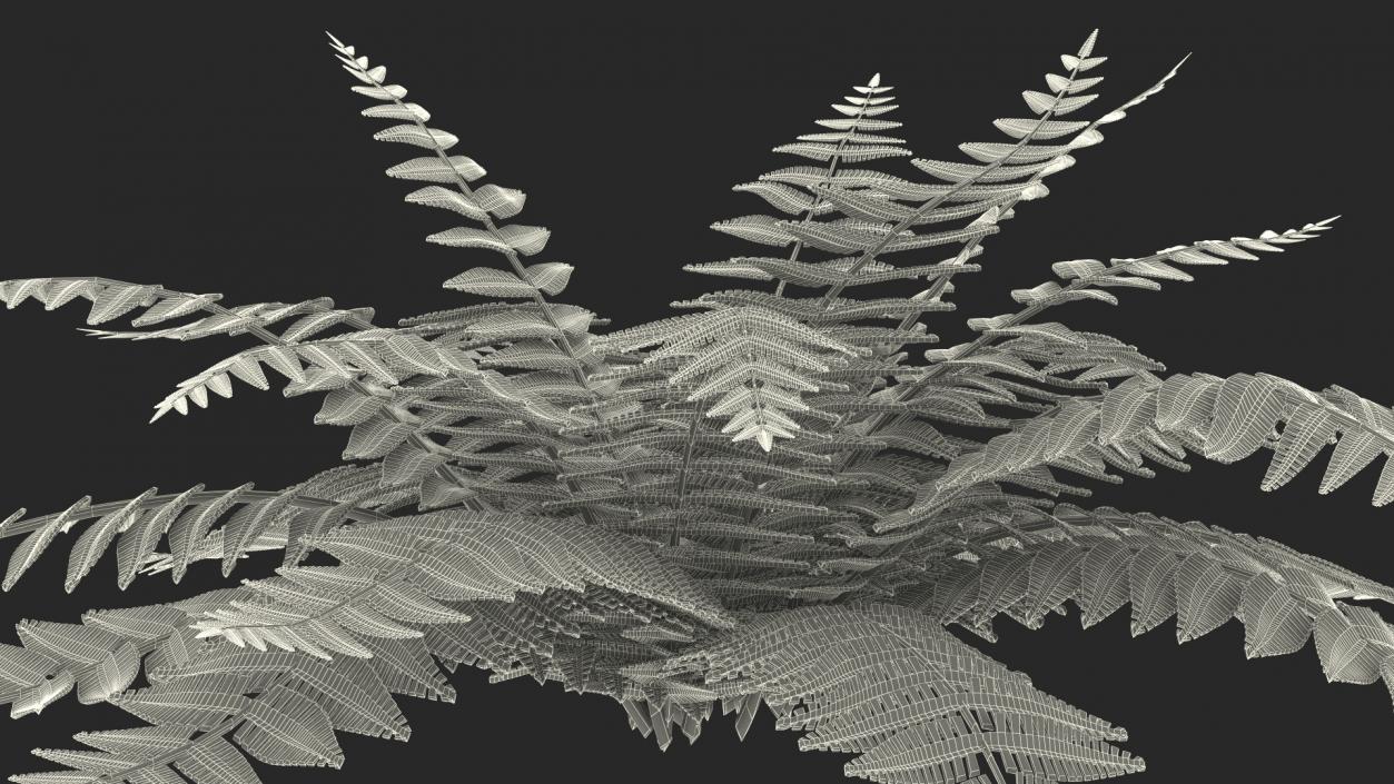 3D model Realistic Fern Plant