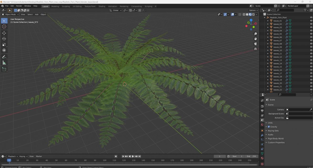 3D model Realistic Fern Plant